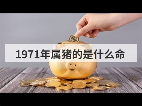 1971 屬什麼